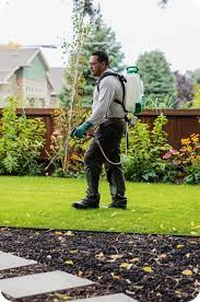 Pest Control Services In Omaha Ne