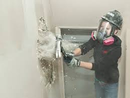 Mike Holmes Asbestos Is Like A
