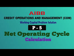 Net Operating Cycle Calculation