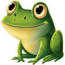 Frog Icon Children S Book Animal