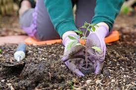 Thoughtful Gifts For Gardeners