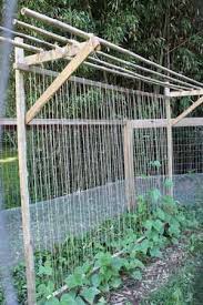 Garden Plant Supports And Trellises