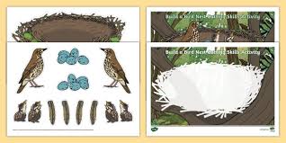 Build A Bird Nest Activity The Big