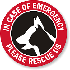 Rescue Pets Window Decal