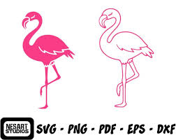 Flamingo Svg Flamingo Clip Art Pink