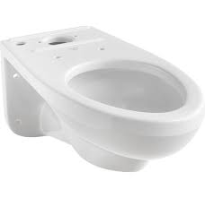 Proflo Pf1705hewh Gpf Toilet Bowl Only