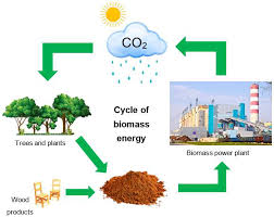 biomass waste