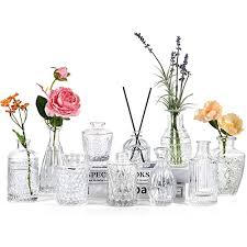 Hyckee Bud Vases Set Of 10 Glass Vase