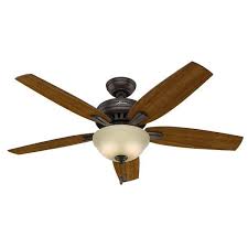 Ceiling Fan 53311