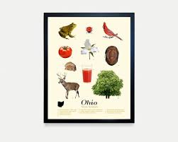 Ohio State Symbols Typology Poster