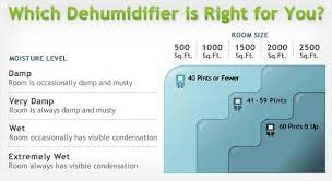 When A Dehumidifier