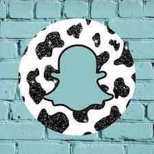 Teal Cow Print Snap Ios App Icon