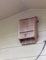 37 Free Diy Bat House Plans That Will
