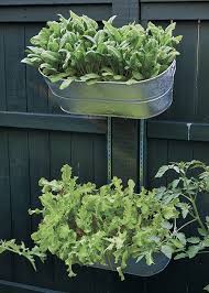 Galvanized Raised Garden Bed