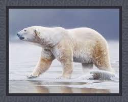 Polar Bear Bears Fabric Quilt Panel