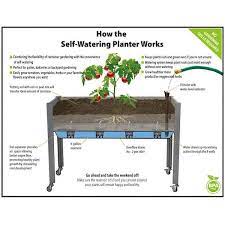 Self Watering Elevated Spruce Planter 21 X 47 X 32 H Casters Gray