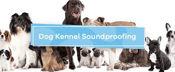 Dog Kennel Daycare Soundproofing