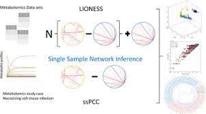 Evaluation Of Single Sample Network