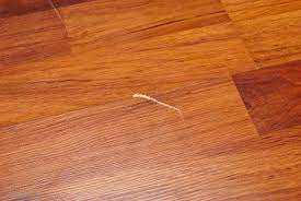 Fix Scratches On Laminate Flooring