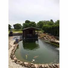 Outdoor Cement Fish Pond Size 8 Feet