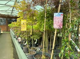 Plants At Hilltop Garden Centre