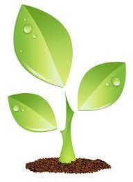 Plant Icon Green Plants Plant Vector