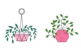 Pretty Ornamental Plant Icon Graphic By