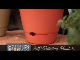 Self Watering Planters