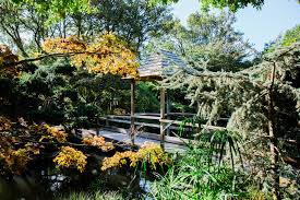 Autumn The Japanese Garden
