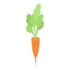 Fresh Garden Carrot Icon Isometric Of