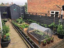 80 Vegetable Garden Ideas To Elevate