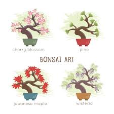 Bonsai Icon Images Free On