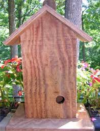Free Bird House Plans Build A Wren
