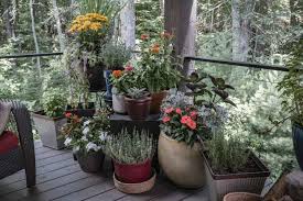 Container Gardens Solutions For Every