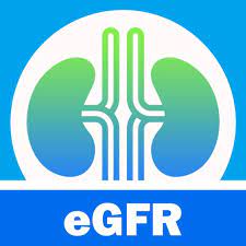 Gfr Calculator Egfr Calc By Dang Phan