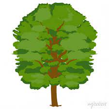 A Natural Shady Tree Icon Botanical