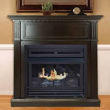 Natural Gas Gas Fireplaces
