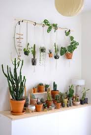 Diy Hanging Plant Wall With Macrame
