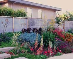 Drought Resistant Landscapes Drought