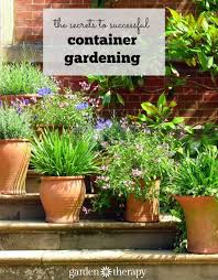 Successful Container Gardening