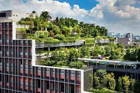How Rooftop Gardens Became A