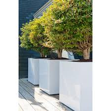 Modern Square Planter