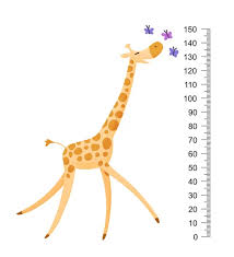 Cheerful Funny Giraffe With Long Neck