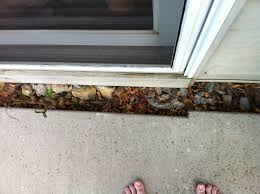 How Do I Seal A Large Gap Between Slabs