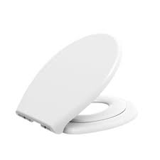 Showy Toddler Dual Toilet Seat