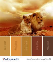 Color Palette Ideas From Wildlife Lion