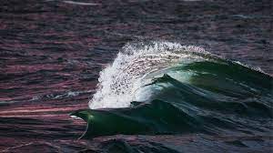 Rogue Waves Are Real And Now