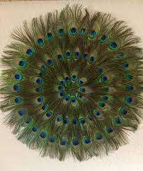 Extravagant Peacock Feather Wall