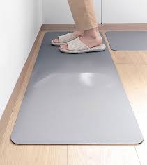 Minimalist Diatomite Absorbent Floor