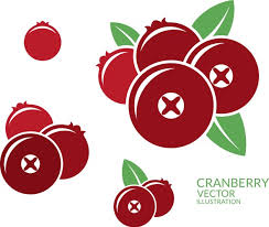 Cranberry Logo Vector Images Over 940
